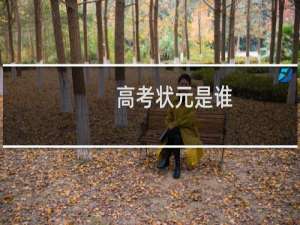 高考状元是谁