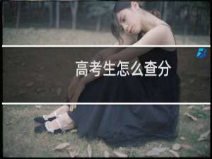 高考生怎么查分