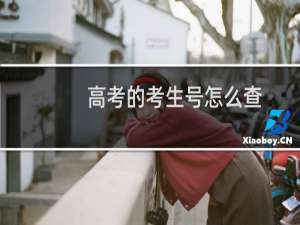 高考的考生号怎么查