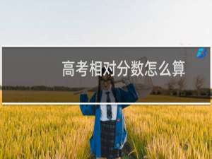 高考相对分数怎么算