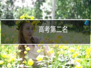 高考第二名