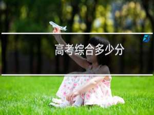高考综合多少分