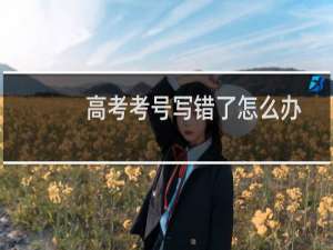 高考考号写错了怎么办