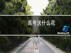 高考送什么花