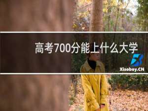 高考700分能上什么大学