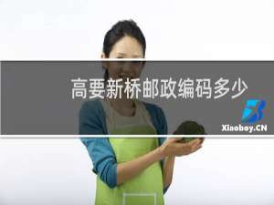 高要新桥邮政编码多少