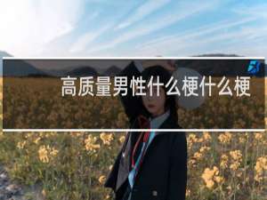 高质量男性什么梗什么梗