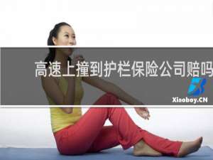 高速上撞到护栏保险公司赔吗