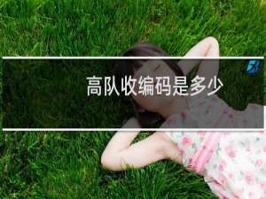 高队收编码是多少