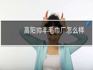 高阳帅丰毛巾厂怎么样