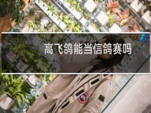 高飞鸽能当信鸽赛吗