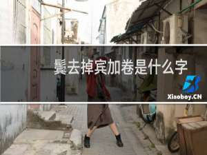鬓去掉宾加卷是什么字