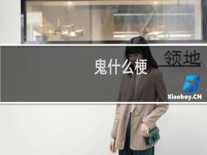 鬼什么梗