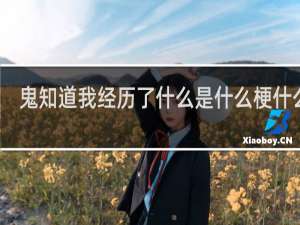 鬼知道我经历了什么是什么梗什么梗