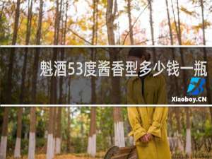魁酒53度酱香型多少钱一瓶
