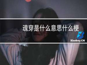 魂穿是什么意思什么梗