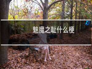 魅魔之耻什么梗