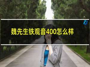 魏先生铁观音400怎么样