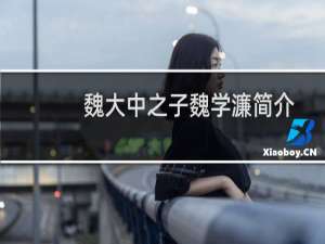 魏大中之子魏学濂简介，魏学濂到底有没有投降李自成？