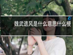 魏武遗风是什么意思什么梗