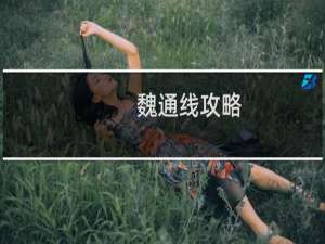魏通线攻略