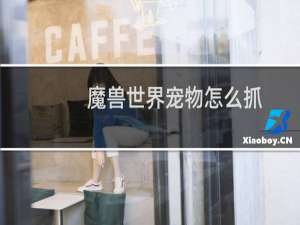 魔兽世界宠物怎么抓