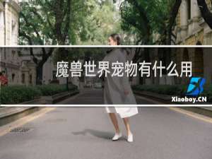 魔兽世界宠物有什么用