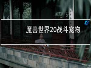 魔兽世界 战斗宠物