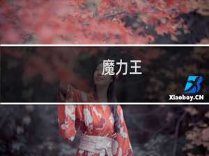 魔力王