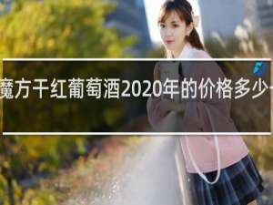 魔方干红葡萄酒2020年的价格多少一瓶呢