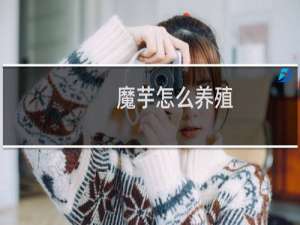 魔芋怎么养殖