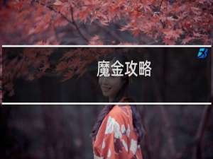 魔金攻略