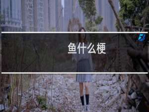 鱼什么梗