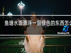 鱼塘水面漂浮一层绿色的东西怎么办