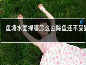 鱼塘水面绿膜怎么去除鱼还不受影响