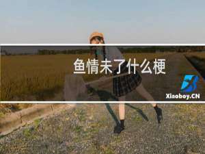 鱼情未了什么梗