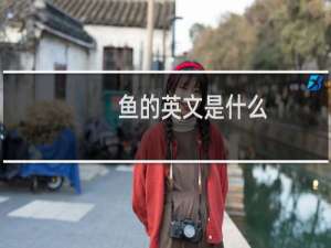 鱼的英文是什么