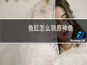 鱼缸怎么领原神鱼