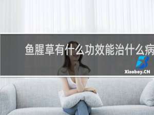 鱼腥草有什么功效能治什么病