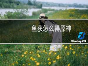 鱼获怎么得原神