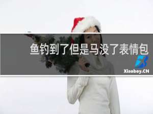 鱼钓到了但是马没了表情包 这一切值得吗什么梗