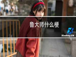 鲁大师什么梗