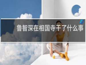 鲁智深在相国寺干了什么事