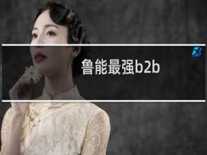鲁能最强b2b
