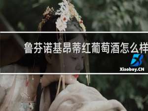 鲁芬诺基昂蒂红葡萄酒怎么样