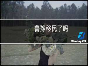 鲁豫移民了吗