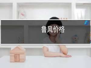 鲁风价格