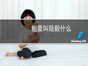鲍蕾叫陆毅什么