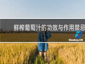鲜榨葡萄汁的功效与作用禁忌
