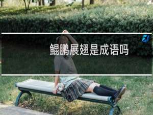 鲲鹏展翅是成语吗
